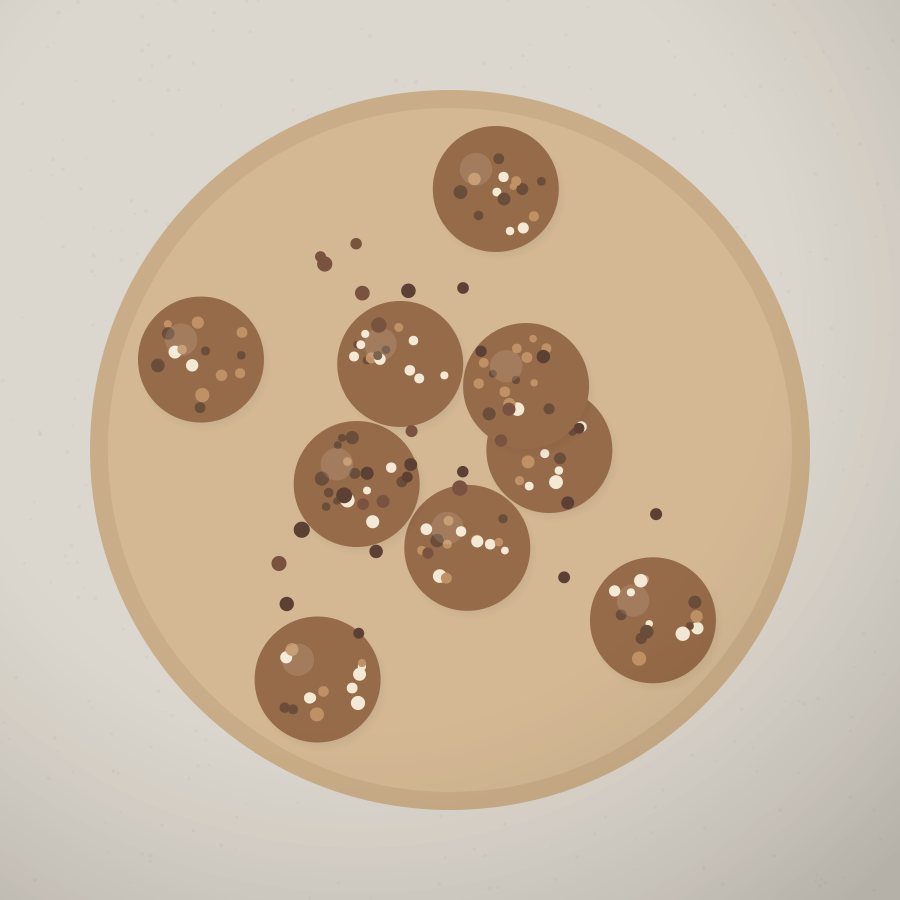 Date Power Bites